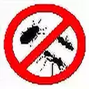 insect icon 