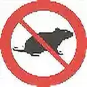 wildlife control 